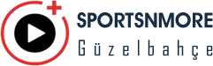 sports n more logo